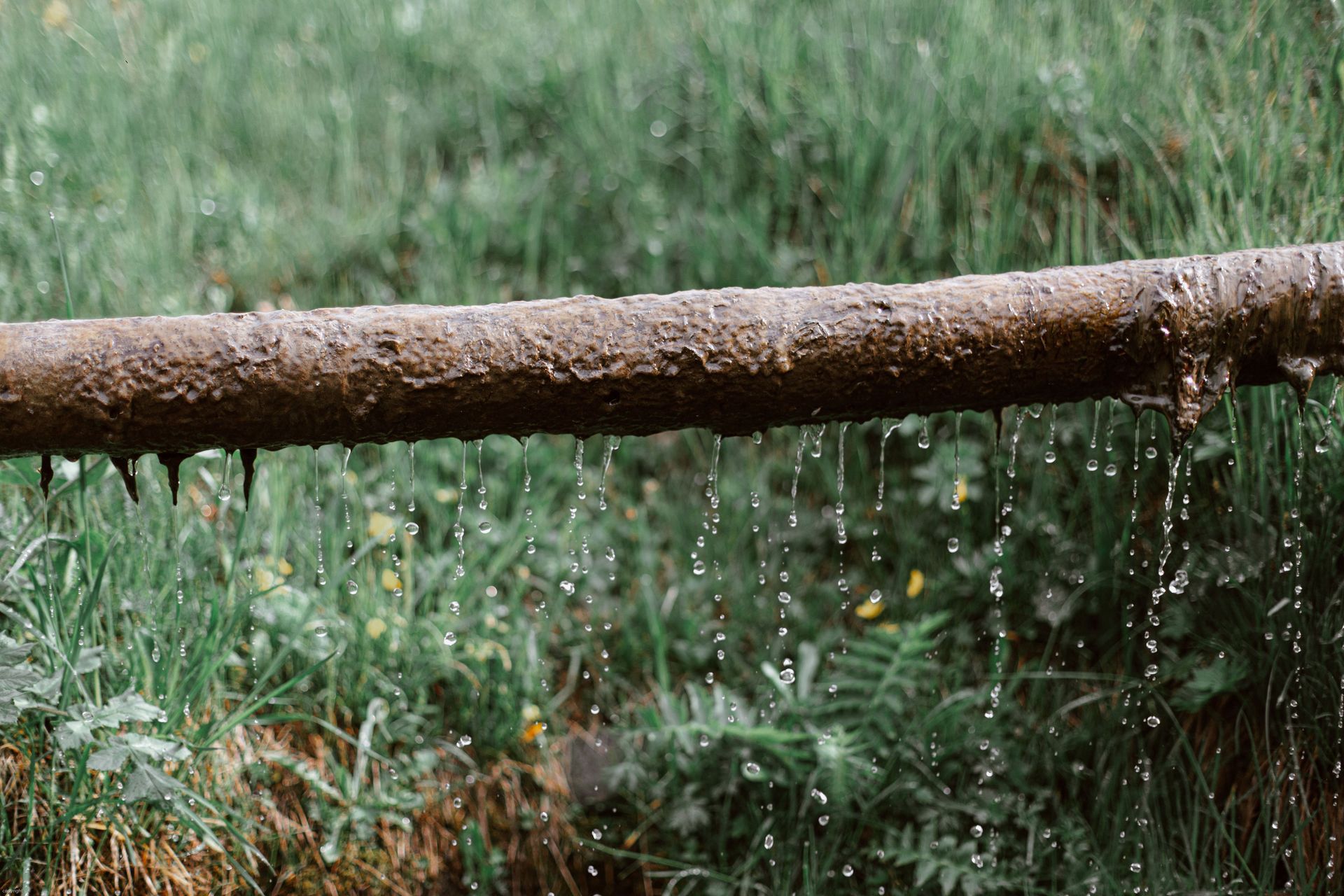 Aged rusted metal tube with dripping water above green lush lawn in garden